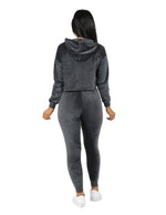 Load image into Gallery viewer, Velour Active Set Hoodie Crop Top and Jogger
