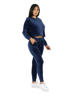 Load image into Gallery viewer, Velour Active Set Hoodie Crop Top and Jogger
