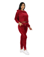 Load image into Gallery viewer, Velour Active Set Hoodie Crop Top and Jogger
